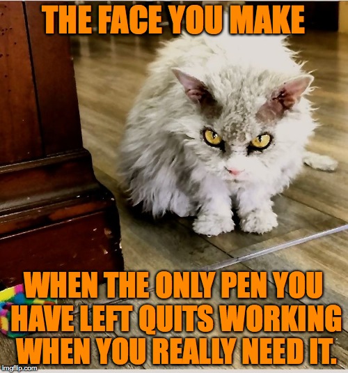 Pompous Albert's Last Pen | THE FACE YOU MAKE; WHEN THE ONLY PEN YOU HAVE LEFT QUITS WORKING WHEN YOU REALLY NEED IT. | image tagged in dried up | made w/ Imgflip meme maker
