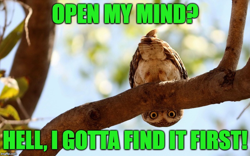 One Of Those Mornings | OPEN MY MIND? HELL, I GOTTA FIND IT FIRST! | image tagged in confused owl | made w/ Imgflip meme maker
