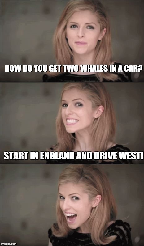 Bad Pun Anna Kendrick Meme | HOW DO YOU GET TWO WHALES IN A CAR? START IN ENGLAND AND DRIVE WEST! | image tagged in memes,bad pun anna kendrick | made w/ Imgflip meme maker