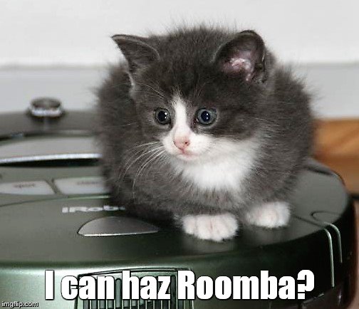 Kitty on a Roomba Imgflip
