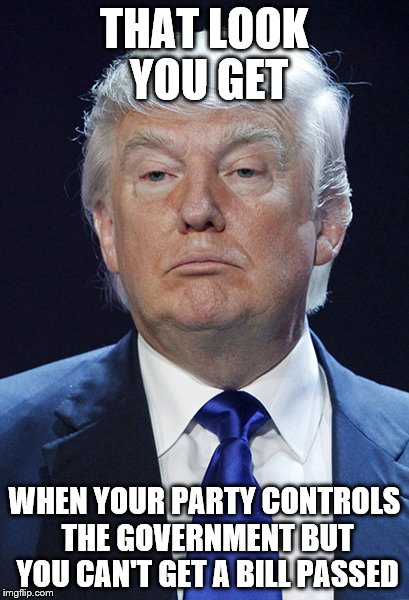 Donald Trump | THAT LOOK YOU GET; WHEN YOUR PARTY CONTROLS THE GOVERNMENT BUT YOU CAN'T GET A BILL PASSED | image tagged in donald trump | made w/ Imgflip meme maker