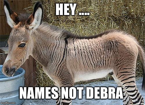 HEY .... NAMES NOT DEBRA | made w/ Imgflip meme maker