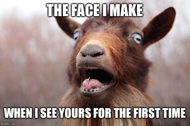 That's why I only went on one blind date, | THE FACE I MAKE; WHEN I SEE YOURS FOR THE FIRST TIME | image tagged in goatscream2014 | made w/ Imgflip meme maker