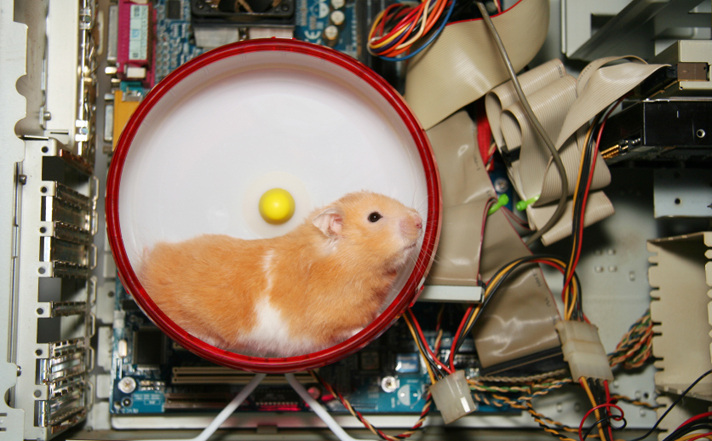 server hamster Blank Meme Template
