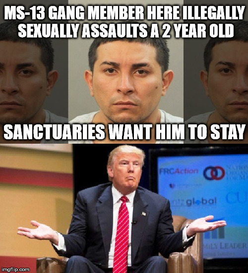 MS-13 GANG MEMBER HERE ILLEGALLY SEXUALLY ASSAULTS A 2 YEAR OLD; SANCTUARIES WANT HIM TO STAY | image tagged in sanctuary cities,trump,illegal immigration,gang members,sexual assault,build a wall | made w/ Imgflip meme maker