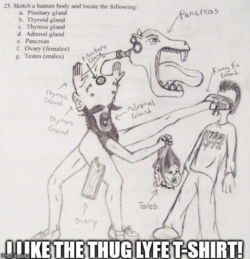 i don't know about you, but i really like the detail on this thing!! | I LIKE THE THUG LYFE T-SHIRT! | image tagged in memes,funny | made w/ Imgflip meme maker