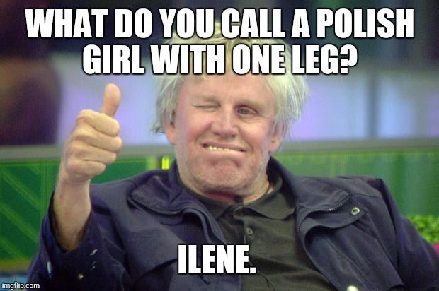 Idbv4.jpg | WHAT DO YOU CALL A POLISH GIRL WITH ONE LEG? ILENE. | image tagged in idbv4jpg | made w/ Imgflip meme maker