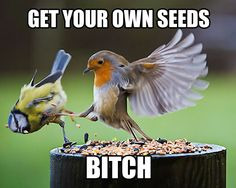 And his name is | image tagged in animal,birds,animals,kicking,attack,defense | made w/ Imgflip meme maker