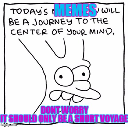 just a short trip. | MEMES; IT SHOULD ONLY BE A SHORT VOYAGE; DONT WORRY | image tagged in todays memes,imgflip users,imgflippers,memes,matt groening | made w/ Imgflip meme maker