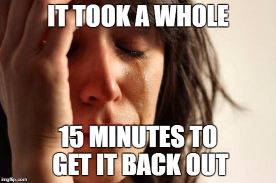 First World Problems Meme | IT TOOK A WHOLE 15 MINUTES TO GET IT BACK OUT | image tagged in memes,first world problems | made w/ Imgflip meme maker