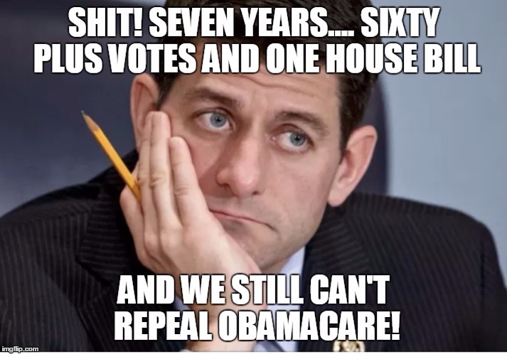 Loser! | image tagged in paul ryan,obamacare | made w/ Imgflip meme maker