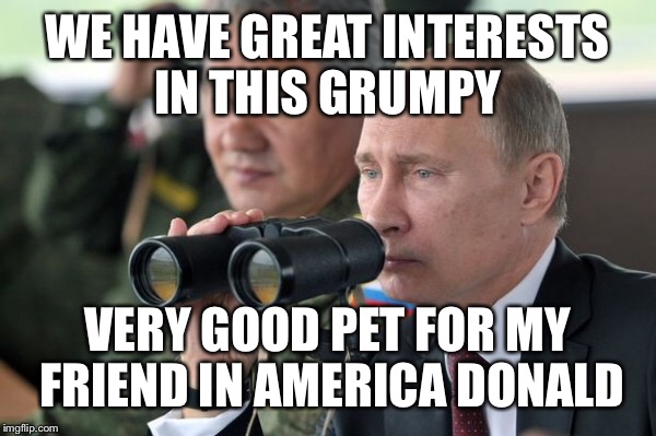 WE HAVE GREAT INTERESTS IN THIS GRUMPY VERY GOOD PET FOR MY FRIEND IN AMERICA DONALD | made w/ Imgflip meme maker