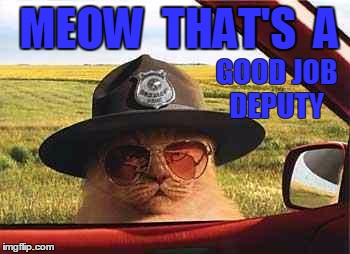 avo2484catsheriff | MEOW  THAT'S  A; GOOD JOB DEPUTY | image tagged in avo2484catsheriff | made w/ Imgflip meme maker