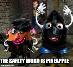 THE SAFETY WORD IS PINEAPPLE | made w/ Imgflip meme maker