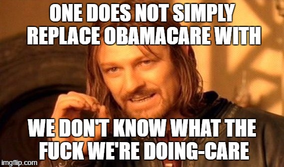 One Does Not Simply Meme | ONE DOES NOT SIMPLY REPLACE OBAMACARE WITH; WE DON'T KNOW WHAT THE FUCK WE'RE DOING-CARE | image tagged in memes,one does not simply | made w/ Imgflip meme maker