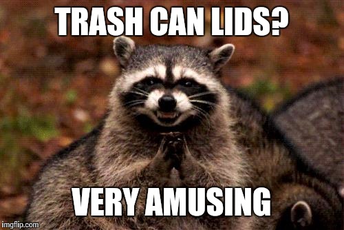 Evil Plotting Raccoon | TRASH CAN LIDS? VERY AMUSING | image tagged in memes,evil plotting raccoon | made w/ Imgflip meme maker