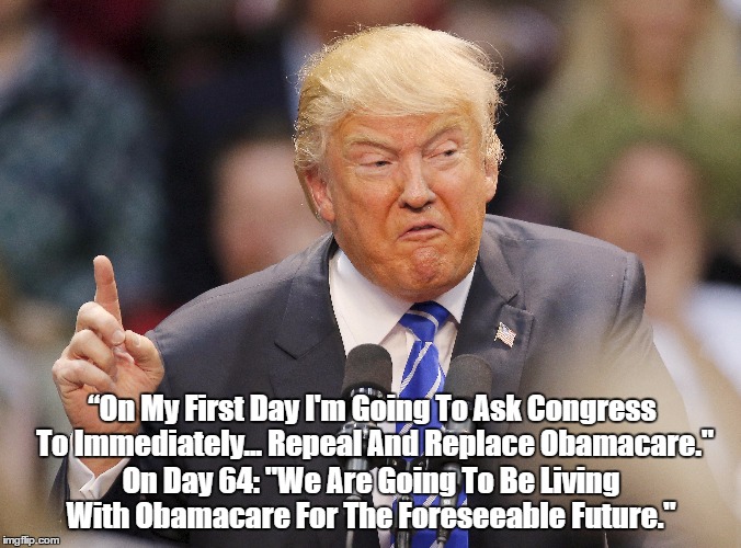 “On My First Day I'm Going To Ask Congress To Immediately... Repeal And Replace Obamacare." On Day 64: "We Are Going To Be Living With Obama | made w/ Imgflip meme maker