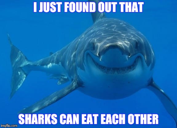 Lascivious Shark  | I JUST FOUND OUT THAT; SHARKS CAN EAT EACH OTHER | image tagged in smiling shark | made w/ Imgflip meme maker