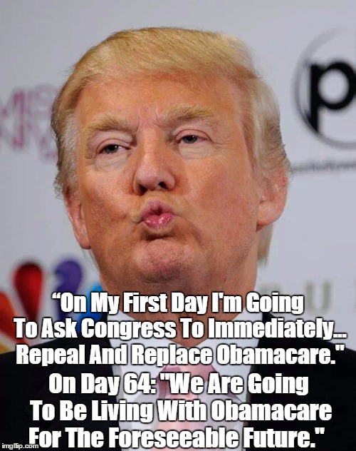 “On My First Day I'm Going To Ask Congress To Immediately... Repeal And Replace Obamacare." On Day 64: "We Are Going To Be Living With Obama | made w/ Imgflip meme maker