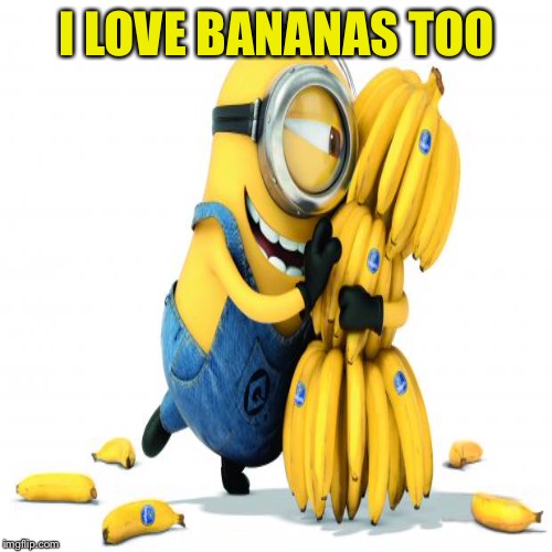 I LOVE BANANAS TOO | made w/ Imgflip meme maker