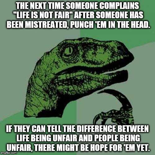 Philosoraptor | THE NEXT TIME SOMEONE COMPLAINS "LIFE IS NOT FAIR" AFTER SOMEONE HAS BEEN MISTREATED, PUNCH 'EM IN THE HEAD. IF THEY CAN TELL THE DIFFERENCE BETWEEN LIFE BEING UNFAIR AND PEOPLE BEING UNFAIR, THERE MIGHT BE HOPE FOR 'EM YET. | image tagged in memes,philosoraptor | made w/ Imgflip meme maker