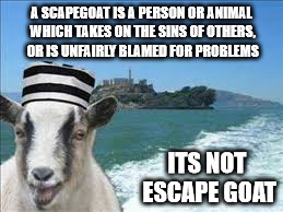 Scapegoat, not escape goat | A SCAPEGOAT IS A PERSON OR ANIMAL WHICH TAKES ON THE SINS OF OTHERS, OR IS UNFAIRLY BLAMED FOR PROBLEMS; ITS NOT ESCAPE GOAT | image tagged in goat,escape,funny | made w/ Imgflip meme maker