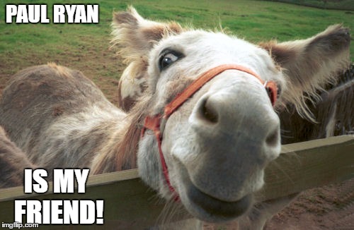 smiling donkey jackass | PAUL RYAN; IS MY FRIEND! | image tagged in smiling donkey jackass | made w/ Imgflip meme maker