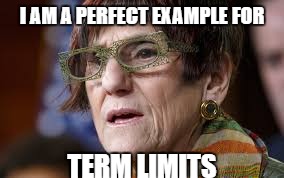 term | I AM A PERFECT EXAMPLE FOR; TERM LIMITS | image tagged in rosa | made w/ Imgflip meme maker