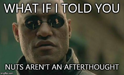 Matrix Morpheus Meme | WHAT IF I TOLD YOU NUTS AREN'T AN AFTERTHOUGHT | image tagged in memes,matrix morpheus | made w/ Imgflip meme maker
