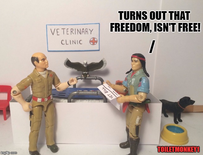 TURNS OUT THAT FREEDOM, ISN'T FREE! /; TOILETMONKEY1 | image tagged in freedom isn't free | made w/ Imgflip meme maker