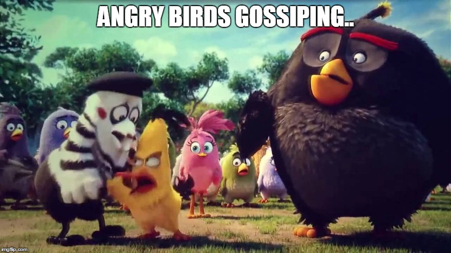 angry birds gossiping | ANGRY BIRDS GOSSIPING.. | image tagged in angry birds gossiping | made w/ Imgflip meme maker