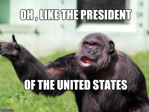 Gorilla your dreams | OH , LIKE THE PRESIDENT OF THE UNITED STATES | image tagged in gorilla your dreams | made w/ Imgflip meme maker