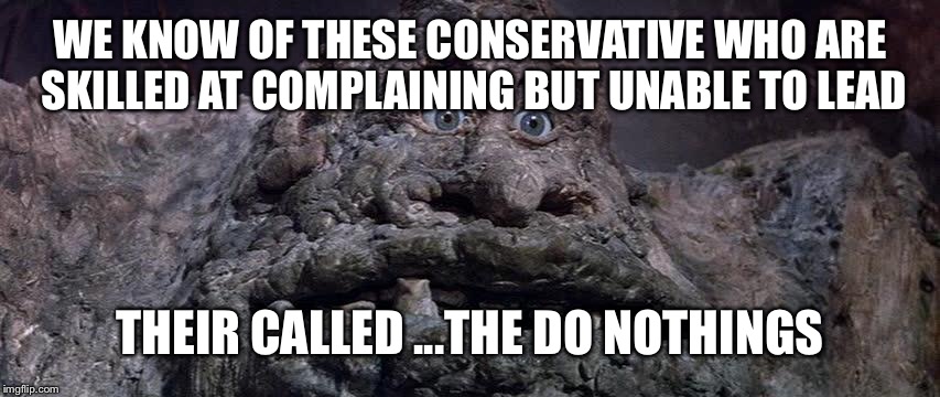 WE KNOW OF THESE CONSERVATIVE WHO ARE SKILLED AT COMPLAINING BUT UNABLE TO LEAD THEIR CALLED ...THE DO NOTHINGS | made w/ Imgflip meme maker
