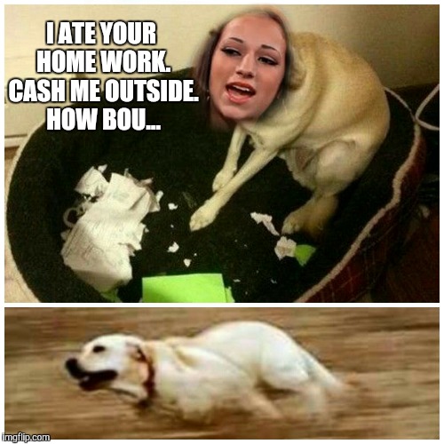 I ATE YOUR HOME WORK. CASH ME OUTSIDE. HOW BOU... | image tagged in cash me ousside how bow dah,dog ate homework | made w/ Imgflip meme maker