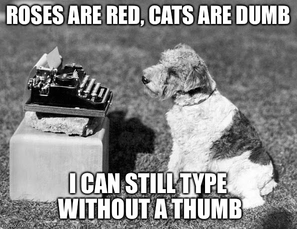 Poet dog | ROSES ARE RED, CATS ARE DUMB; I CAN STILL TYPE WITHOUT A THUMB | image tagged in poet dog | made w/ Imgflip meme maker