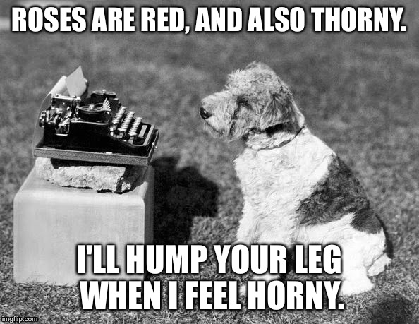 Poet Dog  | ROSES ARE RED, AND ALSO THORNY. I'LL HUMP YOUR LEG WHEN I FEEL HORNY. | image tagged in dog,poetry,dog poet,poet dog | made w/ Imgflip meme maker