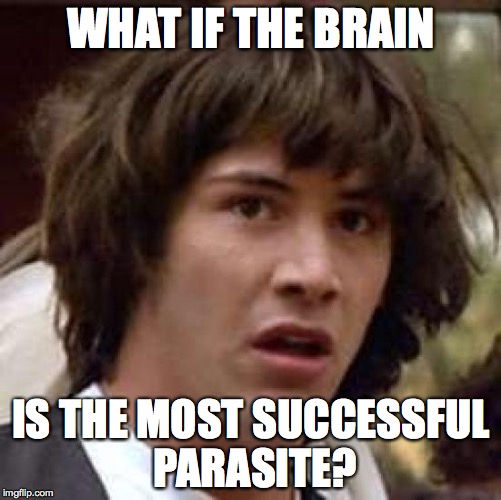 Conspiracy Keanu | WHAT IF THE BRAIN; IS THE MOST SUCCESSFUL PARASITE? | image tagged in memes,conspiracy keanu | made w/ Imgflip meme maker