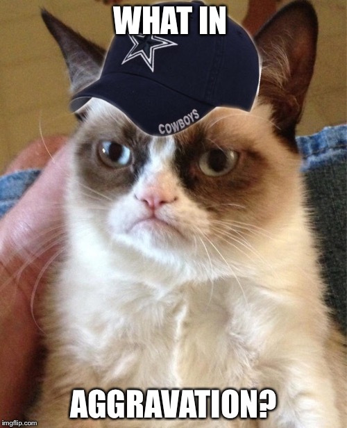 They said putting a Cowboys hat on it would make it funnier, but it didn't | WHAT IN; AGGRAVATION? | image tagged in what in tarnation,funny,grumpy cat,dank,dank memes,lol | made w/ Imgflip meme maker