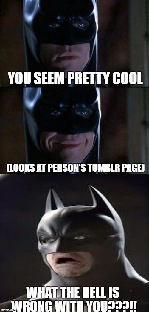 WTF??????? | YOU SEEM PRETTY COOL; (LOOKS AT PERSON'S TUMBLR PAGE); WHAT THE HELL IS WRONG WITH YOU???!! | image tagged in batman,batman smiles,disgusted,tumblr | made w/ Imgflip meme maker