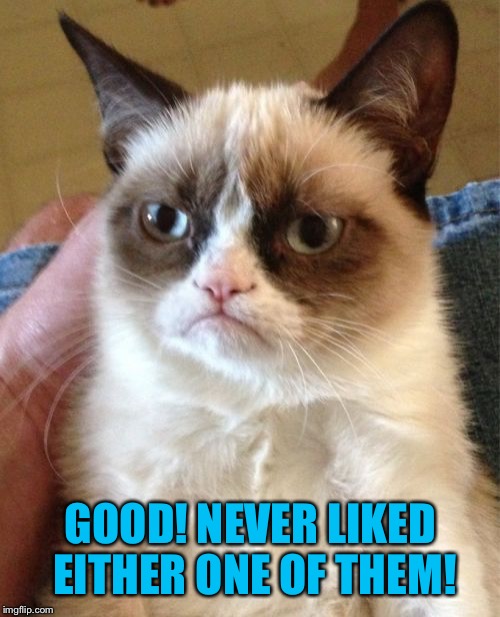 Grumpy Cat Meme | GOOD! NEVER LIKED EITHER ONE OF THEM! | image tagged in memes,grumpy cat | made w/ Imgflip meme maker