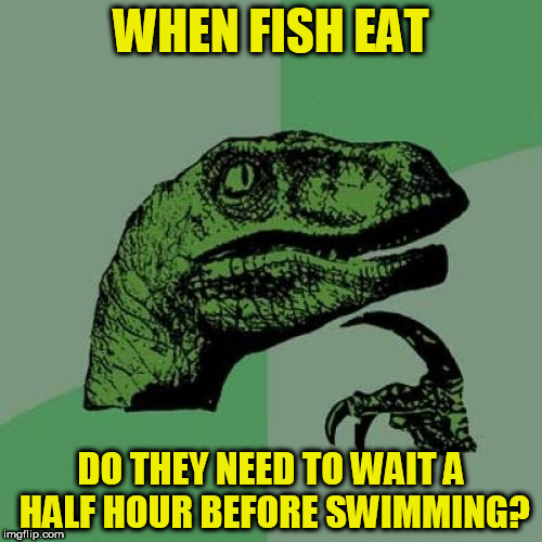 sorry if this has been done before! | WHEN FISH EAT; DO THEY NEED TO WAIT A HALF HOUR BEFORE SWIMMING? | image tagged in memes,philosoraptor | made w/ Imgflip meme maker