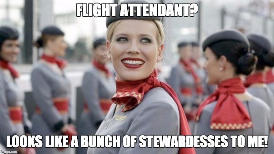 FLIGHT ATTENDANT? LOOKS LIKE A BUNCH OF STEWARDESSES TO ME! | image tagged in flight attentdant | made w/ Imgflip meme maker