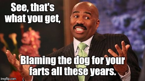 Steve Harvey Meme | See, that's what you get, Blaming the dog for your farts all these years. | image tagged in memes,steve harvey | made w/ Imgflip meme maker