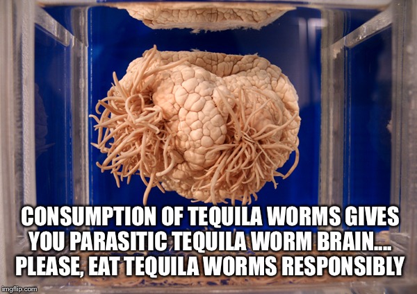 CONSUMPTION OF TEQUILA WORMS GIVES YOU PARASITIC TEQUILA WORM BRAIN.... PLEASE, EAT TEQUILA WORMS RESPONSIBLY | made w/ Imgflip meme maker