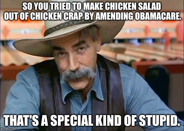 Paul Ryan never learned that you can't make chicken salad out of chicken sh*t. | SO YOU TRIED TO MAKE CHICKEN SALAD OUT OF CHICKEN CRAP BY AMENDING OBAMACARE. THAT'S A SPECIAL KIND OF STUPID. | image tagged in sam elliott special kind of stupid | made w/ Imgflip meme maker