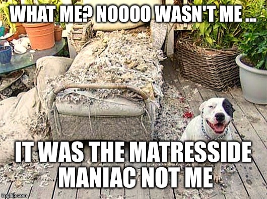 WHAT ME? NOOOO WASN'T ME ... IT WAS THE MATRESSIDE MANIAC NOT ME | made w/ Imgflip meme maker