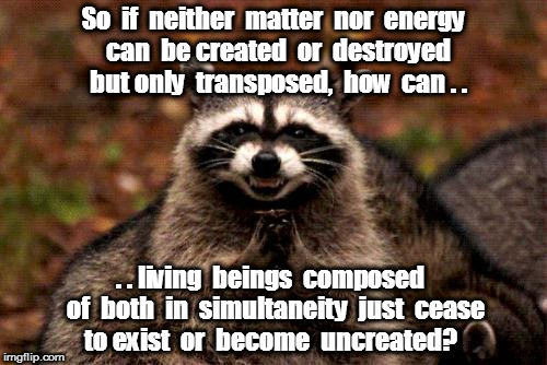 Evil Plotting Raccoon Meme | So  if  neither  matter  nor  energy  can  be created  or  destroyed  but only  transposed,  how  can . . . . living  beings  composed  of  both  in  simultaneity  just  cease to exist  or  become  uncreated? | image tagged in memes,evil plotting raccoon | made w/ Imgflip meme maker