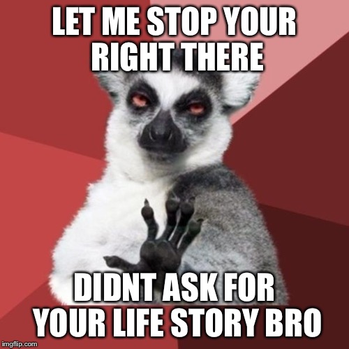 Chill Out Lemur Meme | LET ME STOP YOUR RIGHT THERE; DIDNT ASK FOR YOUR LIFE STORY BRO | image tagged in memes,chill out lemur | made w/ Imgflip meme maker