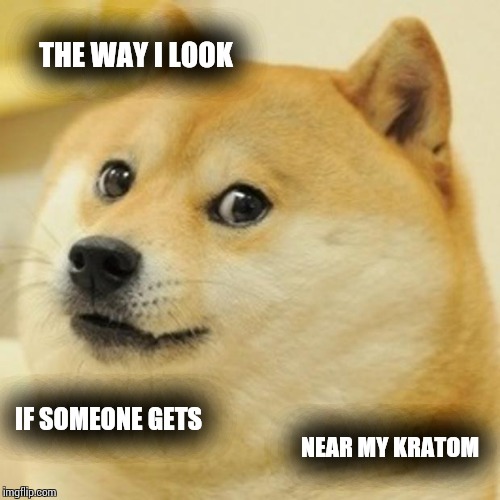 Doge Meme | THE WAY I LOOK; IF SOMEONE GETS; NEAR MY KRATOM | image tagged in memes,doge | made w/ Imgflip meme maker