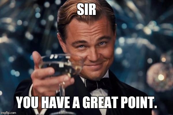 Leonardo Dicaprio Cheers Meme | SIR YOU HAVE A GREAT POINT. | image tagged in memes,leonardo dicaprio cheers | made w/ Imgflip meme maker